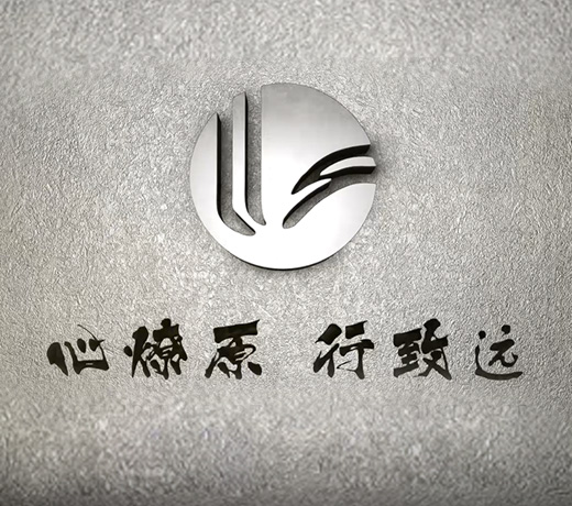 bsports体育集团介绍视频图